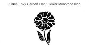 Zinnia Envy Garden Plant Flower Monoton