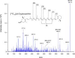 Atmospheric Pressure Chemical