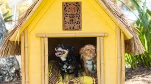 Creative Dog House Designs