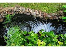 Stunning Backyard Koi Pond Ideas For