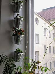 The Urban Garden Low Cost Solutions