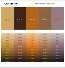 Color Schemes With Reno Sand Color