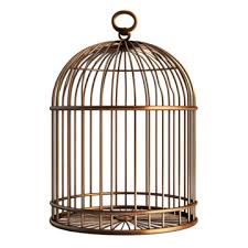 Bird Cage Transpa Background