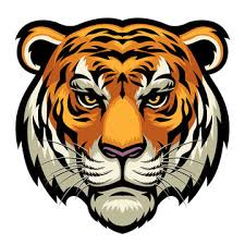 Tiger Icon Images Browse 176 637