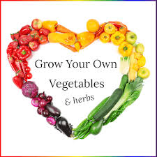 Home Grow Your Own Vegetables