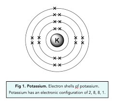 Electronic Configuration Gcse