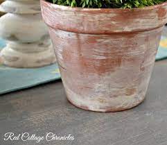 How To Age A Terracotta Pot In Two Easy