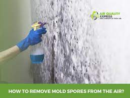 How To Remove Mold Spores From The Air