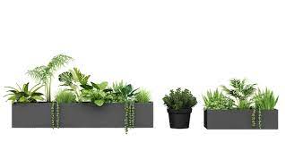 Premium Psd A Row Of Plants In A