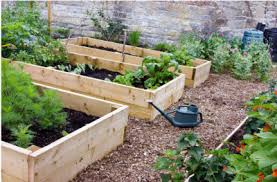 Raised Garden Bed With Treated Wood