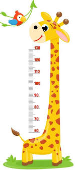 Giraffe Parrot Meter Wall Or Height