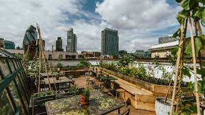 Things To Do Rooftop Bars In London