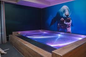 Luxurious Indoor Jacuzzi Spa