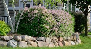 Rock Retaining Wall Ideas Cost How