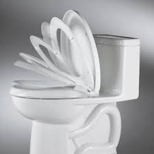 Front Toilet Seat In White 5325 010 020
