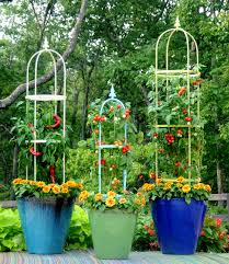 10 Container Gardens That Mix Edible