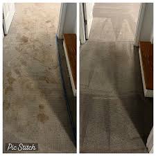 Pet Treatment Carpet Clover Sc Clover Sc