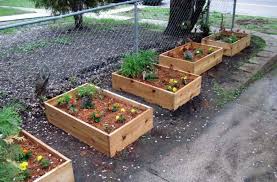 Inspiring Planter Box Ideas For Your Garden