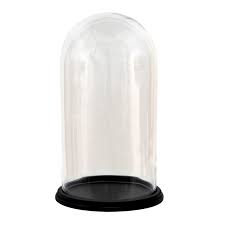 21x35 Cm Wood Glass Round Glass Bell Jar