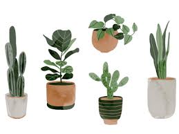 Recycled Plastic Plant Pots Tips