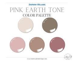Pink Earth Tone Paint Color Palette