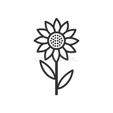 Sunflower Outline Flat Icon On White