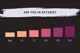 measuring ketosis a quick guide to