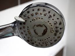 Mold In Shower Bathroom Mold Types