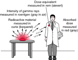 primary radiation by cal dictionary