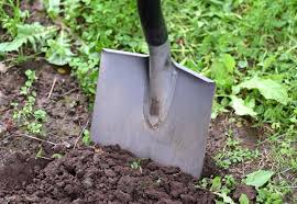 Garden Soil Preparation And Planning