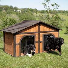 34 Doggone Good Backyard Dog House