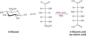 25 6 Reactions Of Monosaccharides