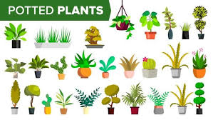 House Plant Icon Vector Art Icons And