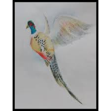 Watercolor Pencils Pheasant Creating