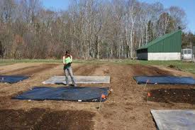 Soil Solarization