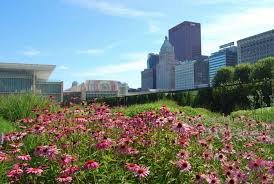 Green Rooftop Revolution