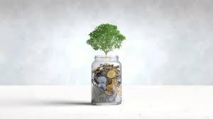 A Tree Grows On A Coin In A Glass Jar
