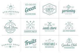 Fruits Or Vegetables Icons Ilration