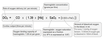 Do2 Equation Peripheral Brain