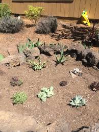 How To Make A Succulent Garden Bed In