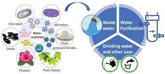 Water Remediation