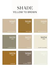 Shade Brown To Yellow Wall Primer