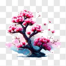 Beautiful Cherry Blossom Tree