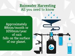 Rainwater Harvesting All You Need To
