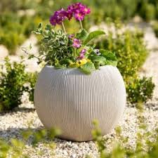 Planters Plant Pots 1500 In Every
