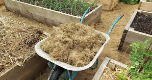 No Till Gardening