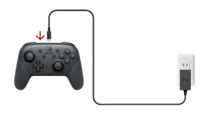 charging nintendo switch support