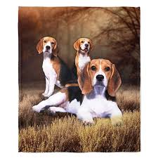 Beagle Blanket Dog Breed 50 X 60