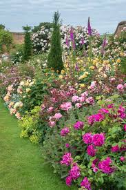 Create The Perfect Rose Garden Florissa