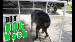 Diy Pvc Outdoor Dog Shower
